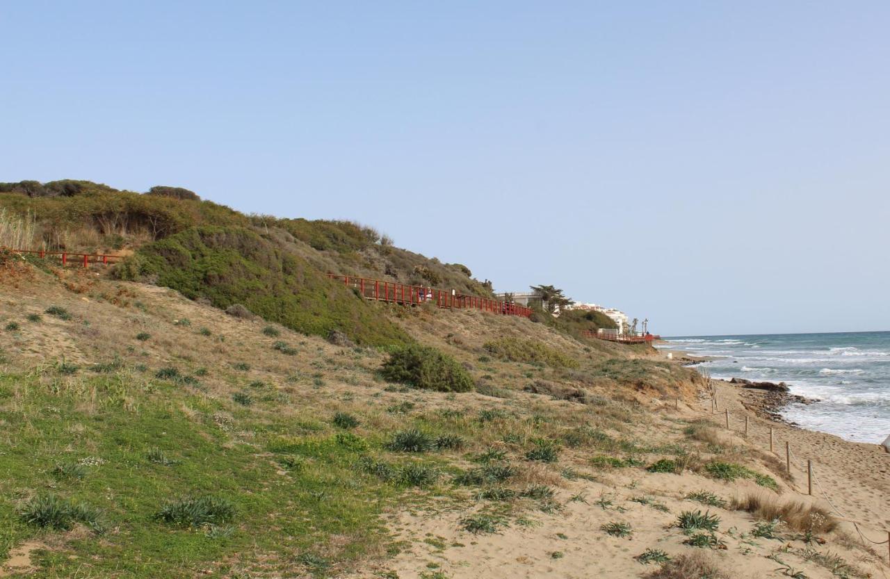 Beach Forest Paradise マルベーリャ エクステリア 写真